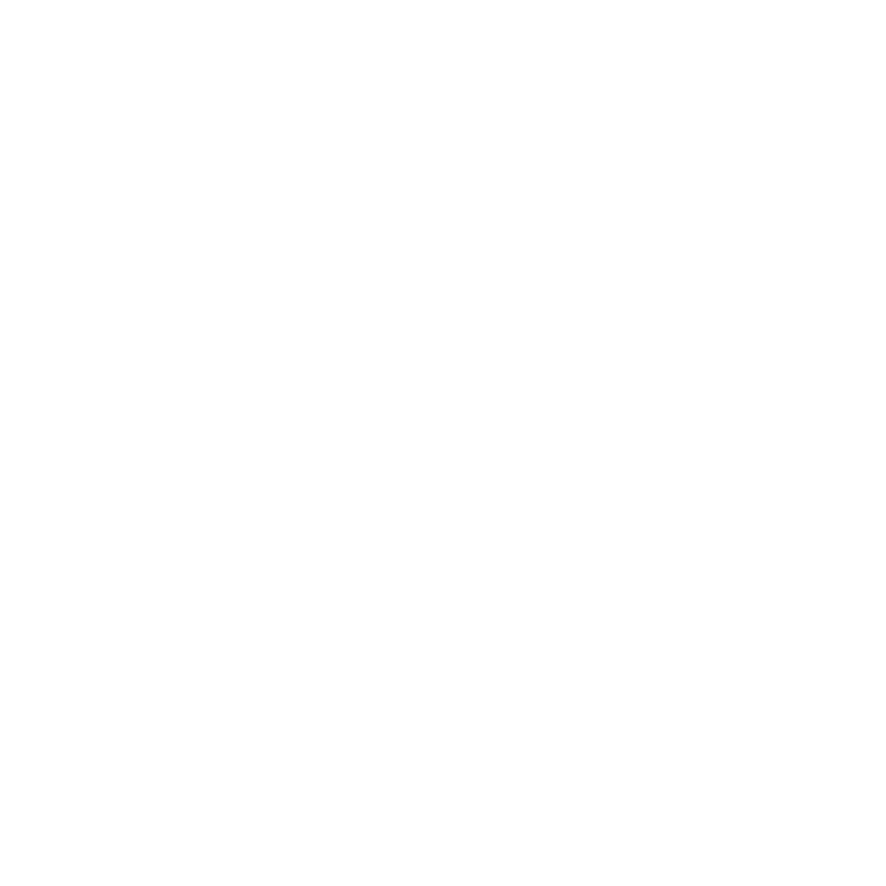 Icon representing a globe with arrows around it